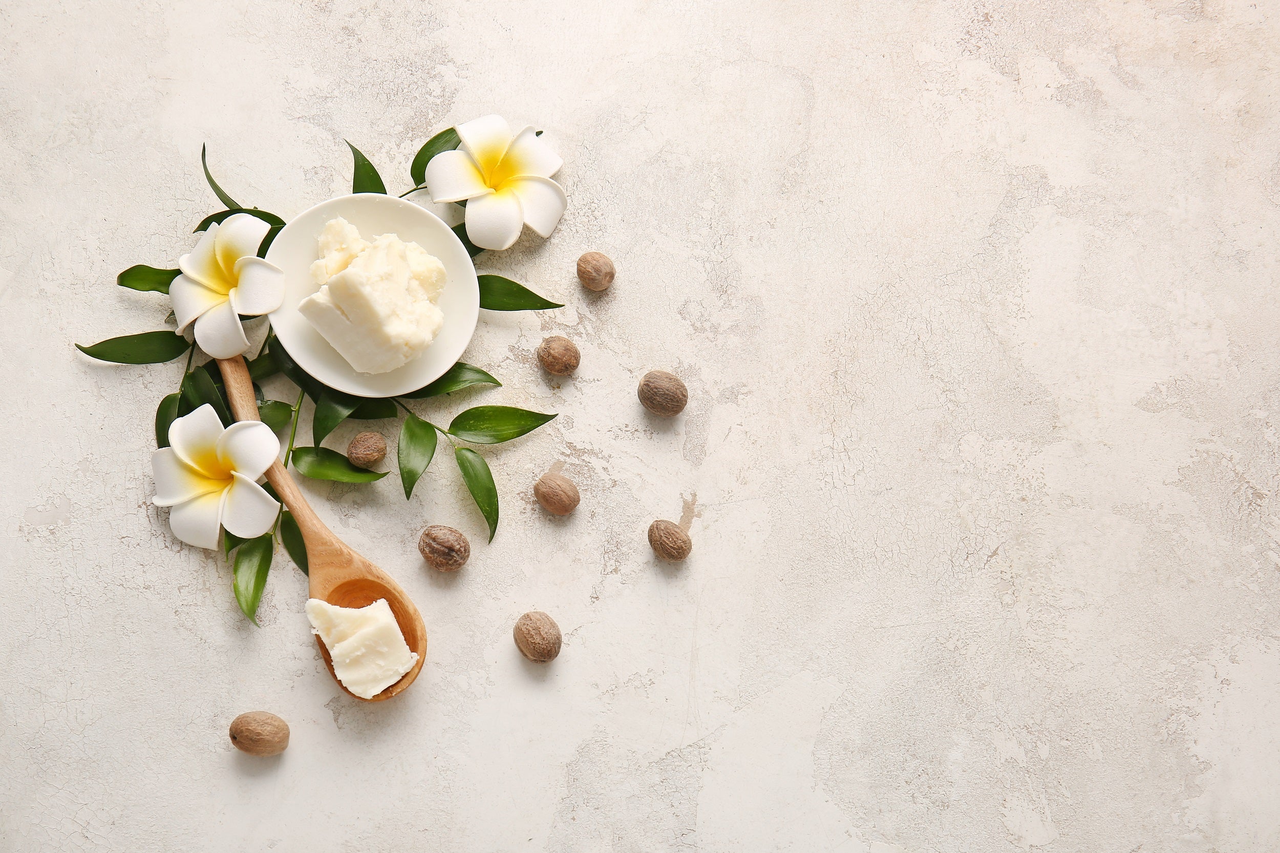 Sheabutter mit Sheanüssen und weißen Blumen auf beigem Hintergrund